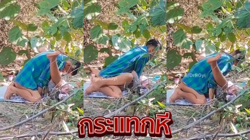 คลิปหลุดแอบถ่าย วัยรุ่นไทยแอบนัดกันมาเย็ดในป่าข้างบ้านแต่โดนมือดีตามมาแอบถ่ายตอนนอนเย็ดกันงานโคตรเด็ดจัดๆ xxx คลิปหลุดทางบ้านสาวไทยโดนแอบถ่ายตอนมานอนเย็ดหีกับผัวในป่าโดรมือดีเอาคลิปตอนเย็ดมาปล่อยงานโคตรเด็ดจัดๆ โดนจับนอนกระแทกหีเย็ดเสียวกันไม่กลัวคนเห็นเสียงไทยฟังชัดครางอย่างลั่นเลย